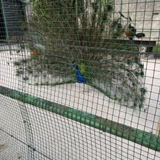 La ferme à l'École