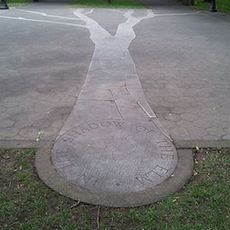 In the Shadow of the Elm