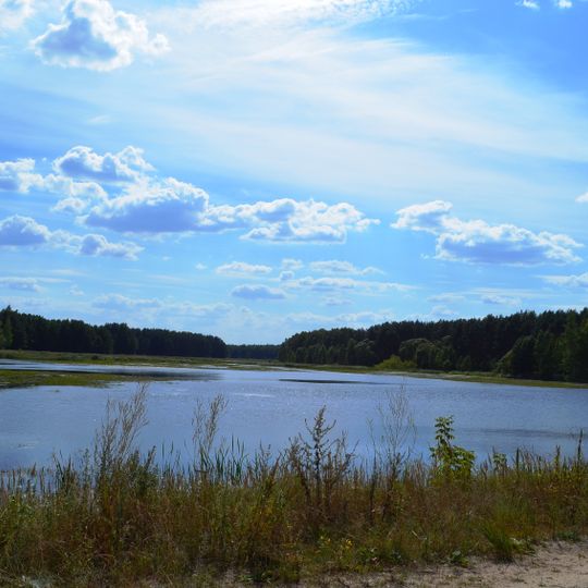 Grybaulios tvenkinys