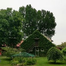 Naturdenkmal Stieleiche Dorfstraße 45, Dannenreich