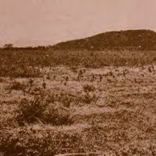 Yauco Battle Site