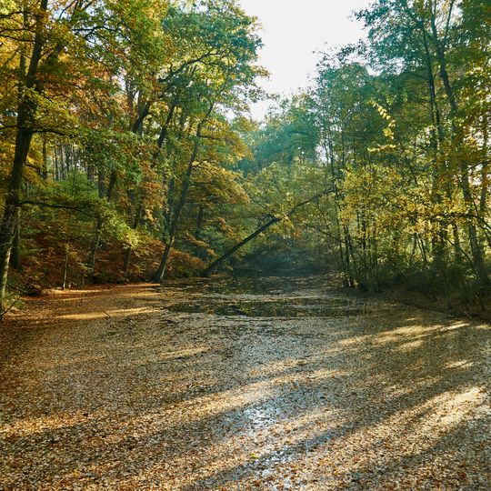 LSG-Waldvelen / Ramsdorf-Sued / Gemenkrueckling / Sternbusch