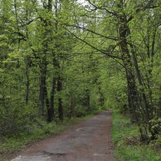 Парк (Сушнево-1)