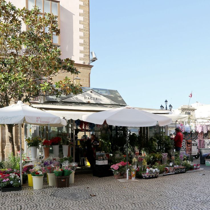Plaza de las Flores