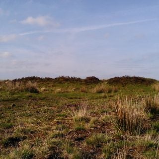 Bowl barrow and round cairn on Withypool Hill, 850m and 820m east of Portford Bridge