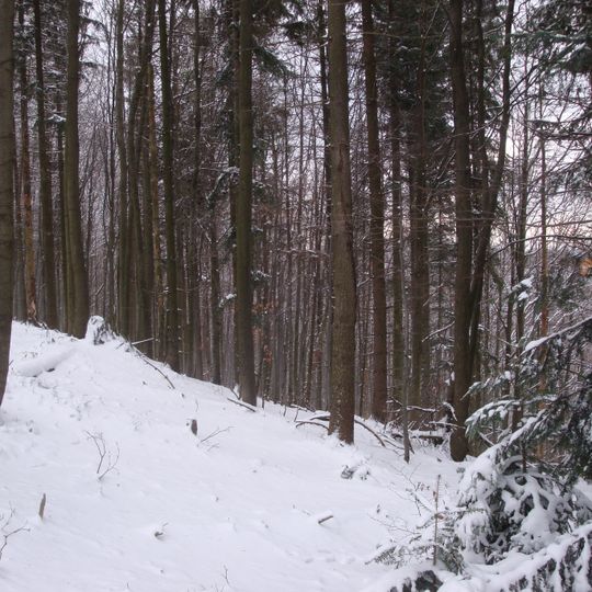 Rezerwat przyrody Szeroka