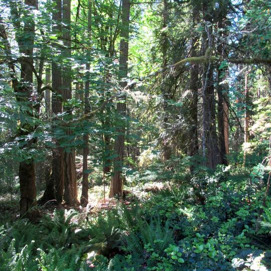 Woodley Range Ecological Reserve