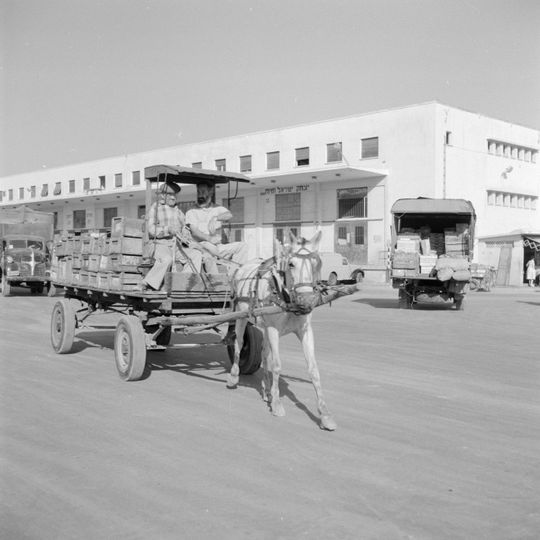 Wholesale markets in Tel Aviv