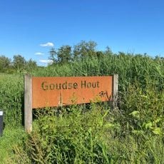 Goudse Hout