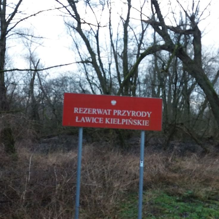Młociny naturreservat