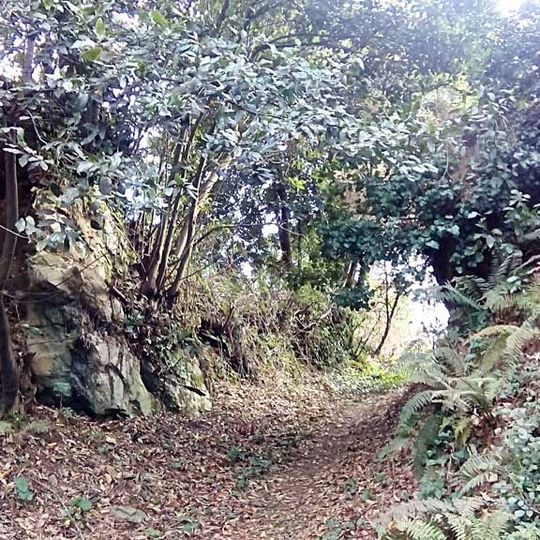 Castro de San Victorio