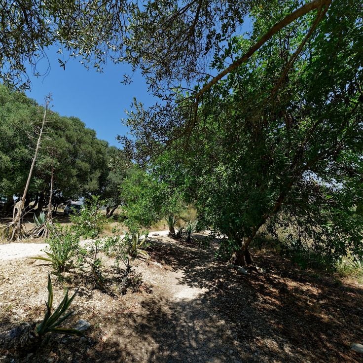 Parco Archeologico di Segesta