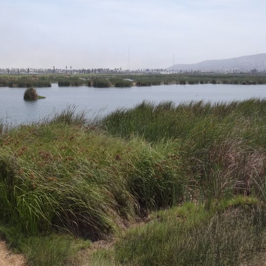 Pantanos de Villa Wildlife Refuge