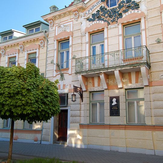 Zelený strom, detská liečebňa