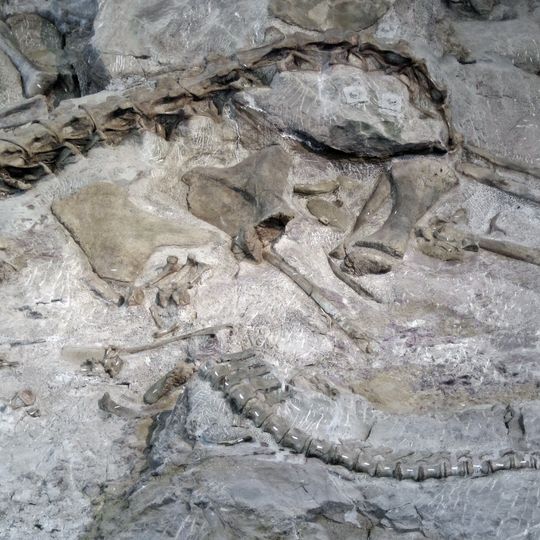 Dinosaur National Monument