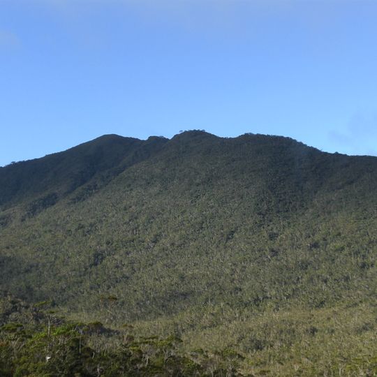 Mount Hamiguitan Range Wildlife Sanctuary