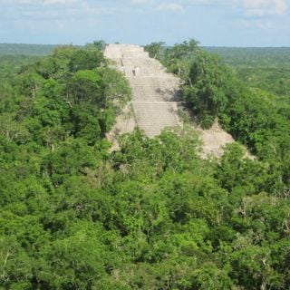 Die verlorene Stadt Calakmul