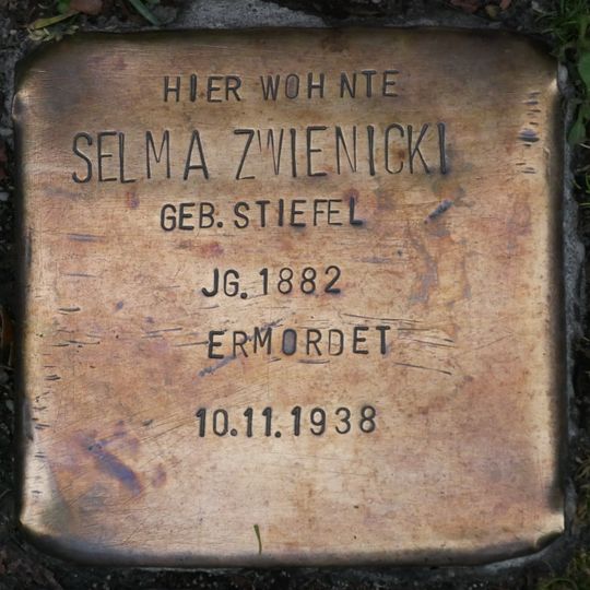 Stolperstein en memoria de Selma Zwienicki