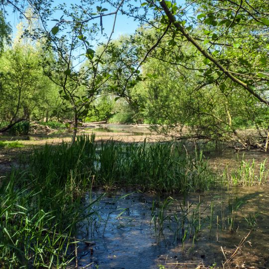 LSG-Grosse Trisch, Schiffers Kamp, Kirchen Gerind Alter Rurarm