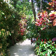Queen Elizabeth II Botanic Park