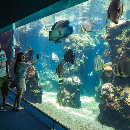 Aquarium des lagons