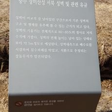 Jangmi Sanseong