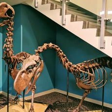 The Bishop Museum of Science and Nature