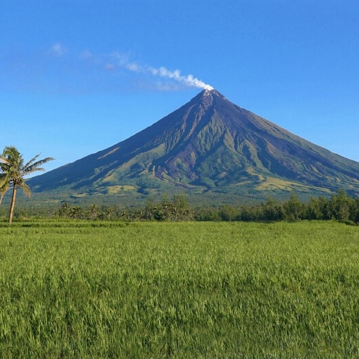 Mayon