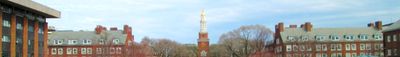 Panoramic View 0