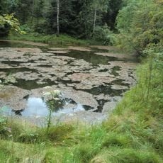 Schwarzer Teich („Bergbaumonumente Altenberg“)