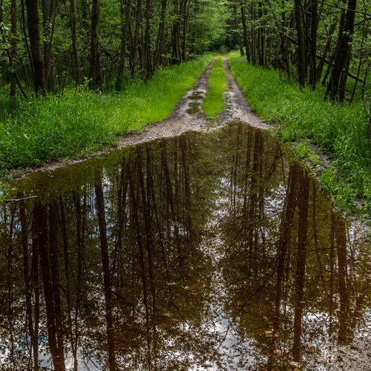 Schutz von Landschaftsteilen im Stadt- und Landkreis Bamberg LSG Hauptsmoorwald