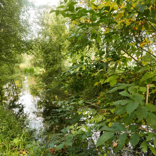 Bosco di Dueville e risorgive limitrofe