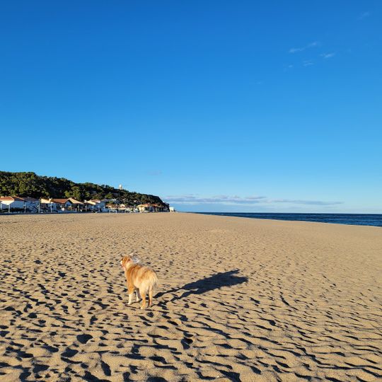 Beach of Leucate Plage