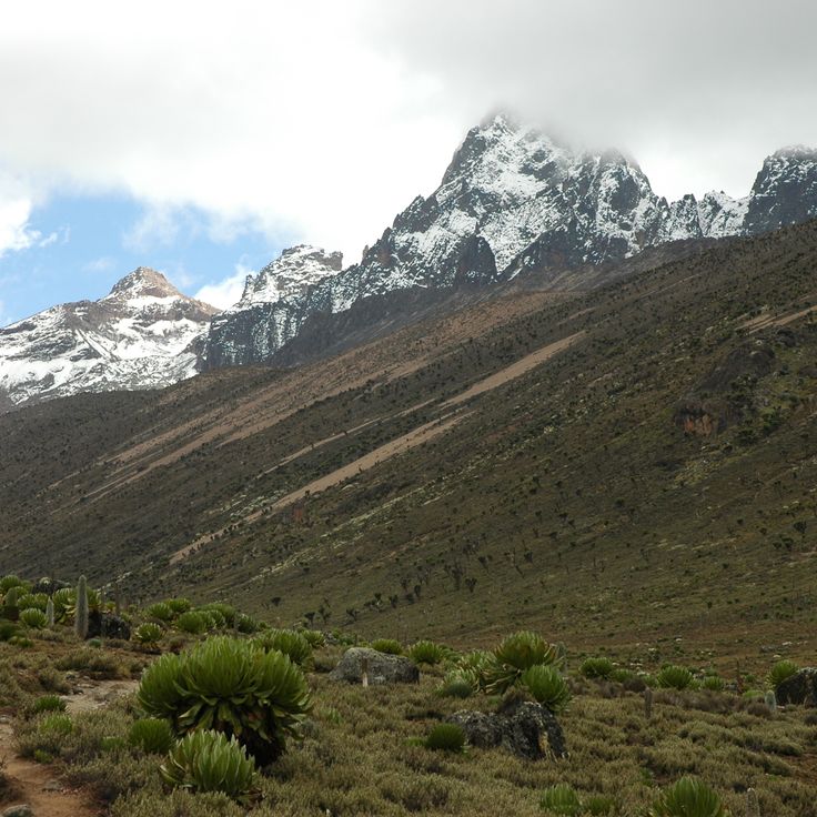 Mount Kenya