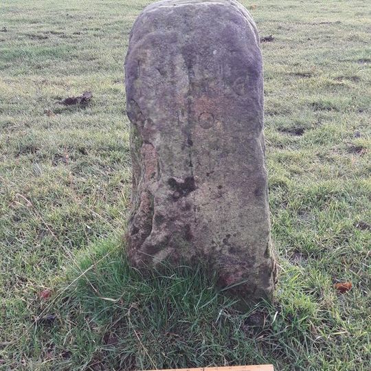Milestone On Castle Drive At Nz 222 310