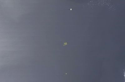  0
