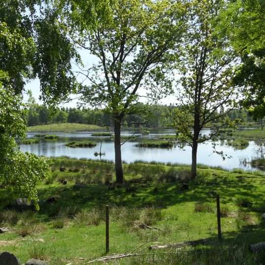 Fjällmossen: Viggarum