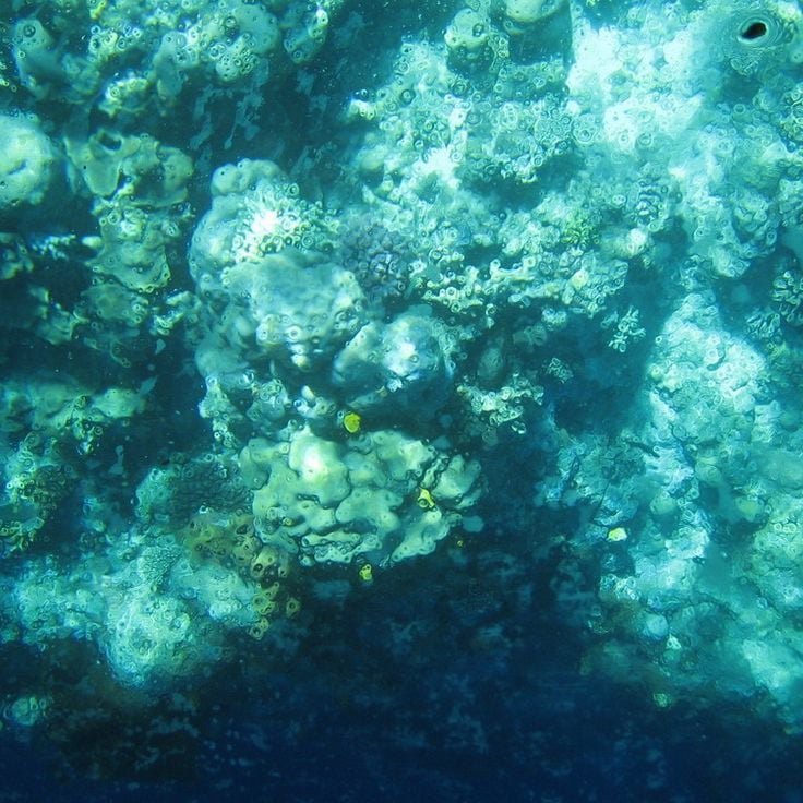 Bunaken Island
