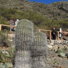 Villavicencio Natural Reserve