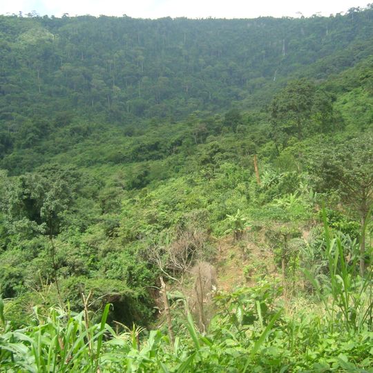 Krokosua Hills Forest Reserve