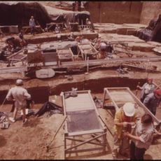 Koster Site