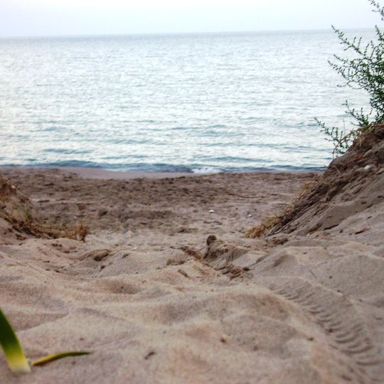 Riserva naturale Metaponto