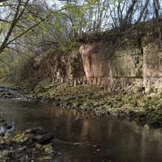 Vizlas lejteces atsegumi