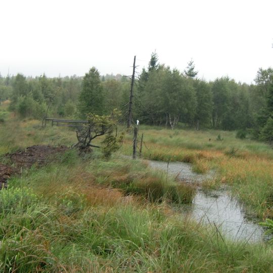 Georgenfelder Hochmoor