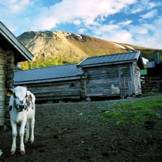 Sonfjället