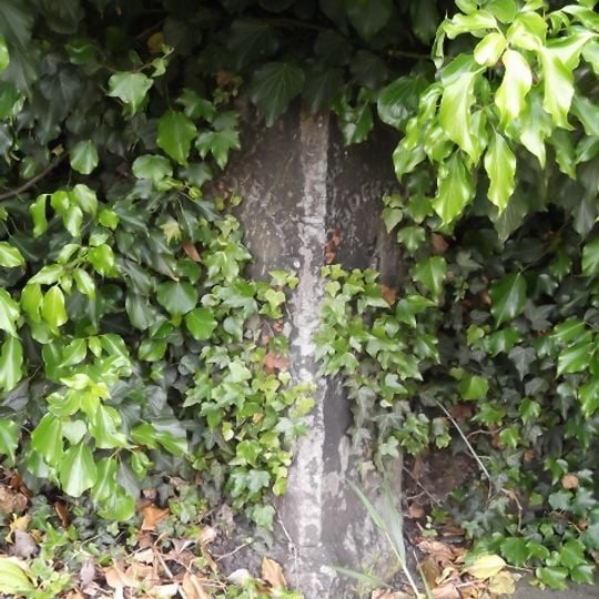 Milestone, Wakefield Road, Mold Green , opp. Broad Lane