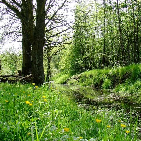 Amtsvenn und Hündfelder Moor