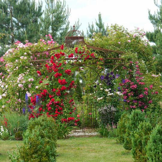 Le Jardin de Mireille