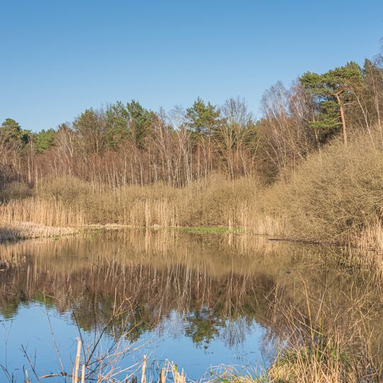 Pechpfuhl bei Siethen