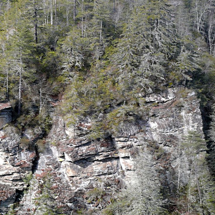 Linville Gorge